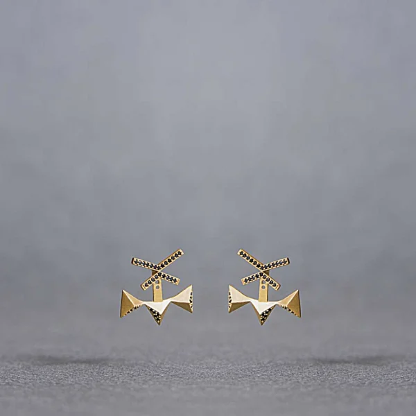 Gold Plated Sterling Silver Geometry Earrings with black stones